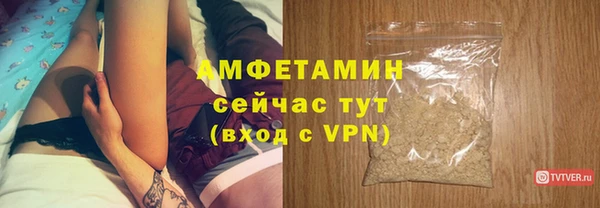 ECSTASY Лагань