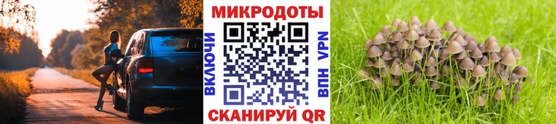 Купить закладки  Колпашево  Галлюциногенные грибы Psilocybe 